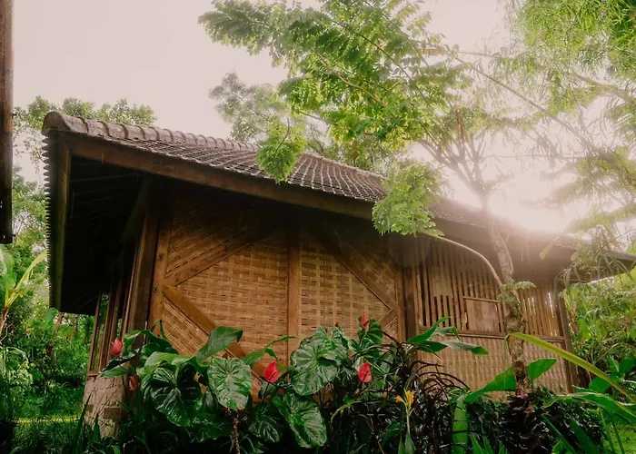Cosy Living Harmoniously Ferienhaus *